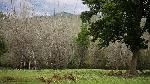 1467705327_1manas 2.jpg